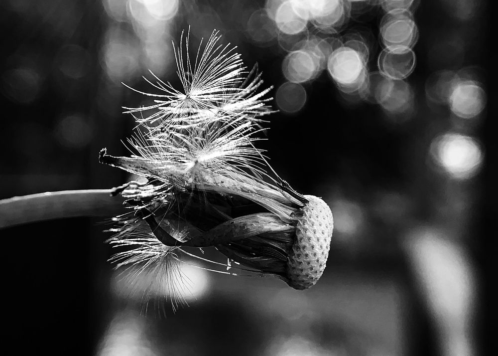 Photograph by Тимонина Ирина