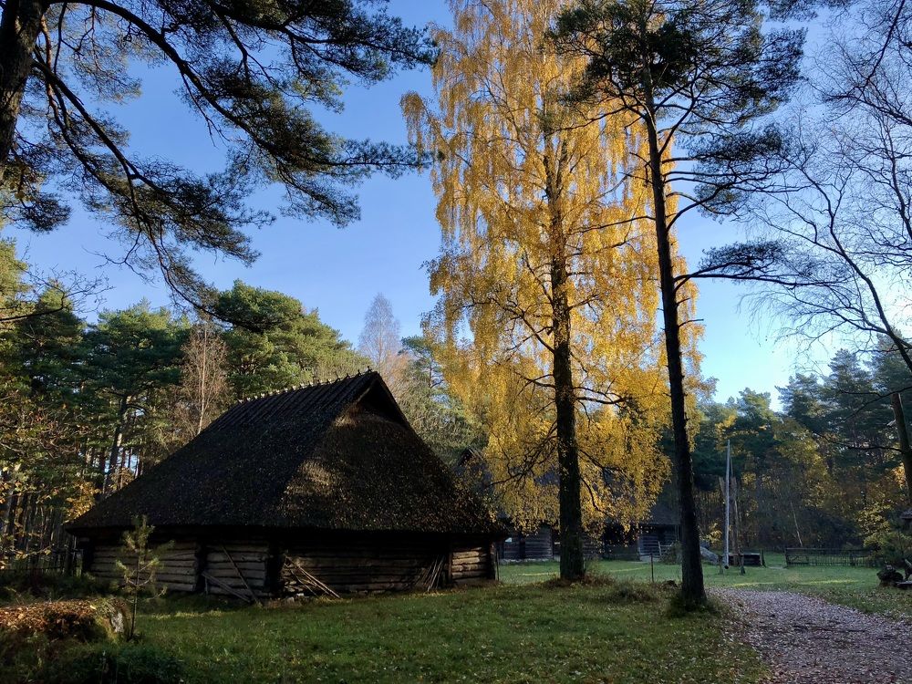 Photograph by Ирина