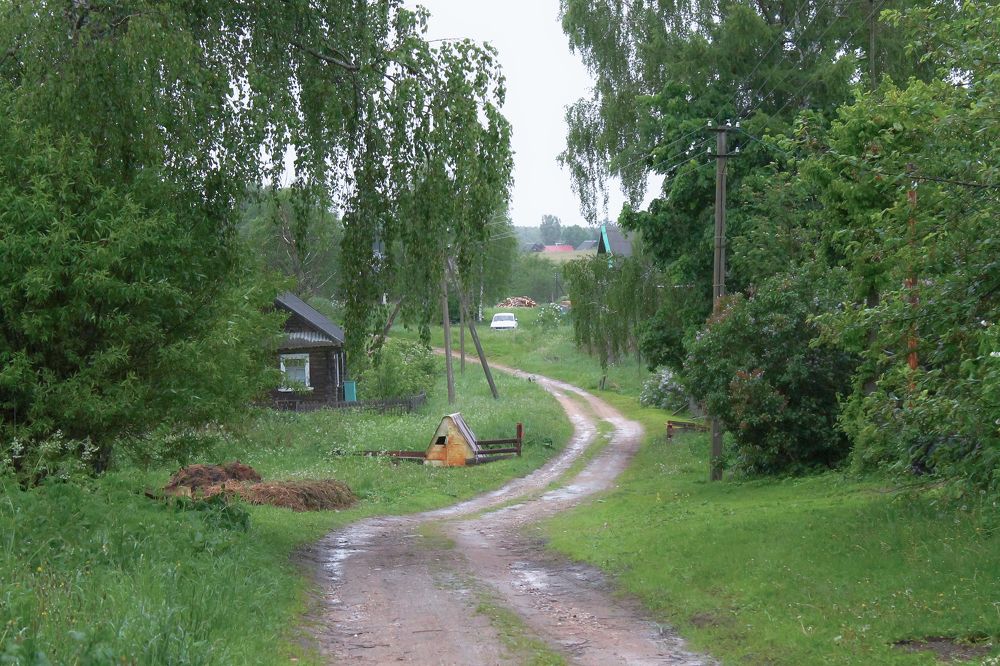 У бабушки в деревне