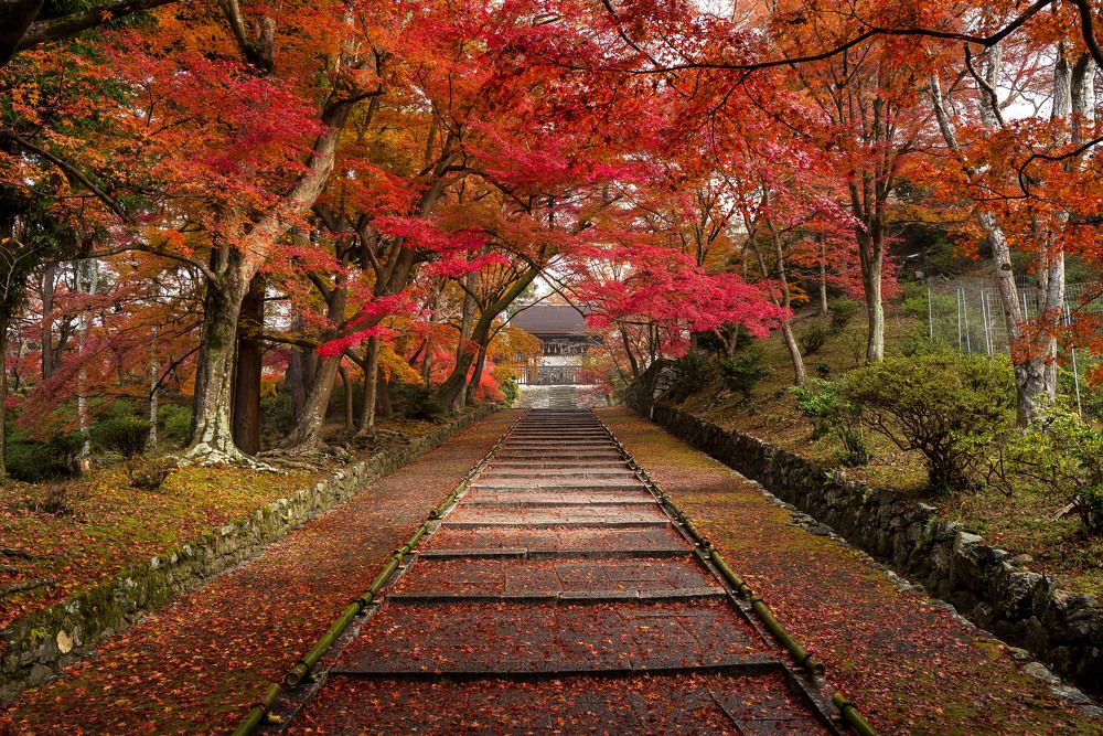 Photograph by Trinh Le