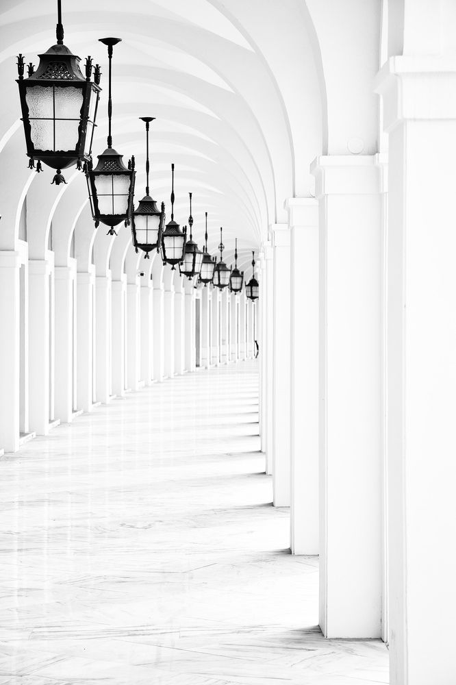 O Caminho do Progresso e da Liberdade