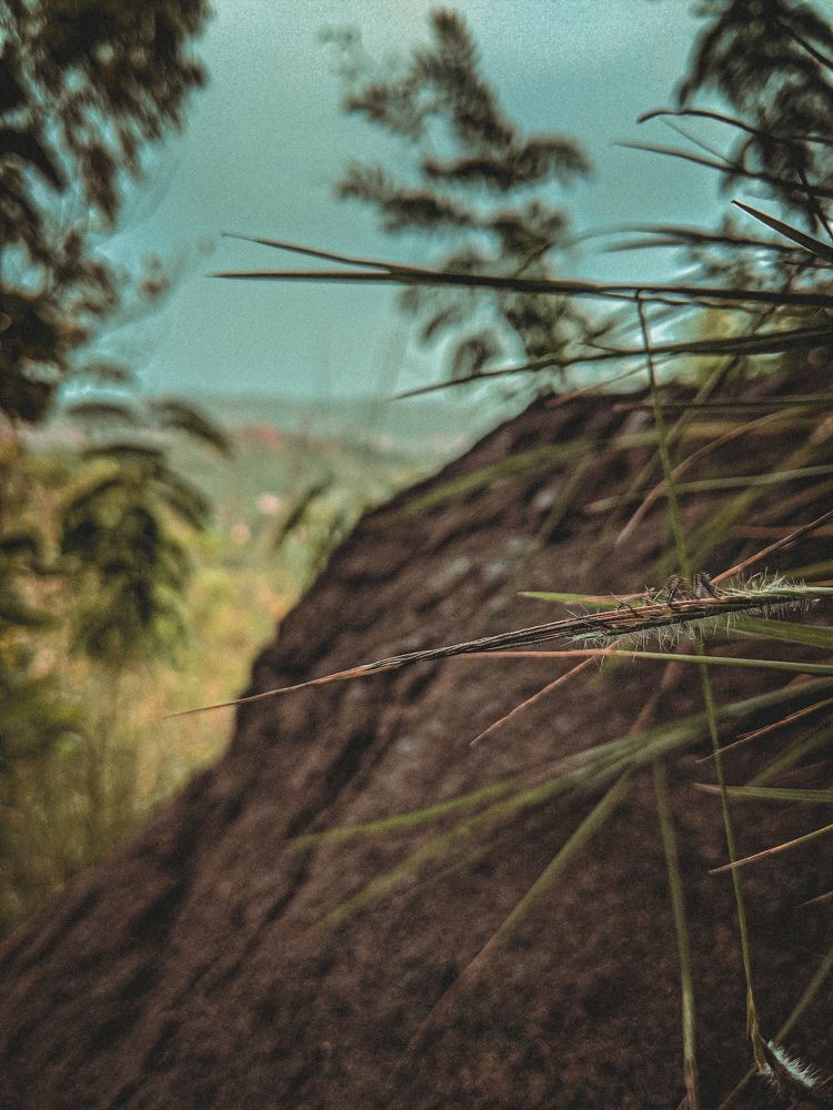 Photograph by Justo Kibandou