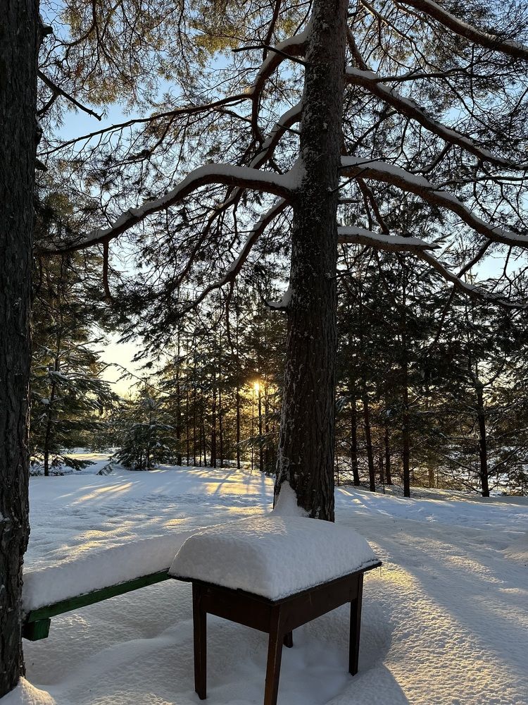 Photograph by Ксения Растокина