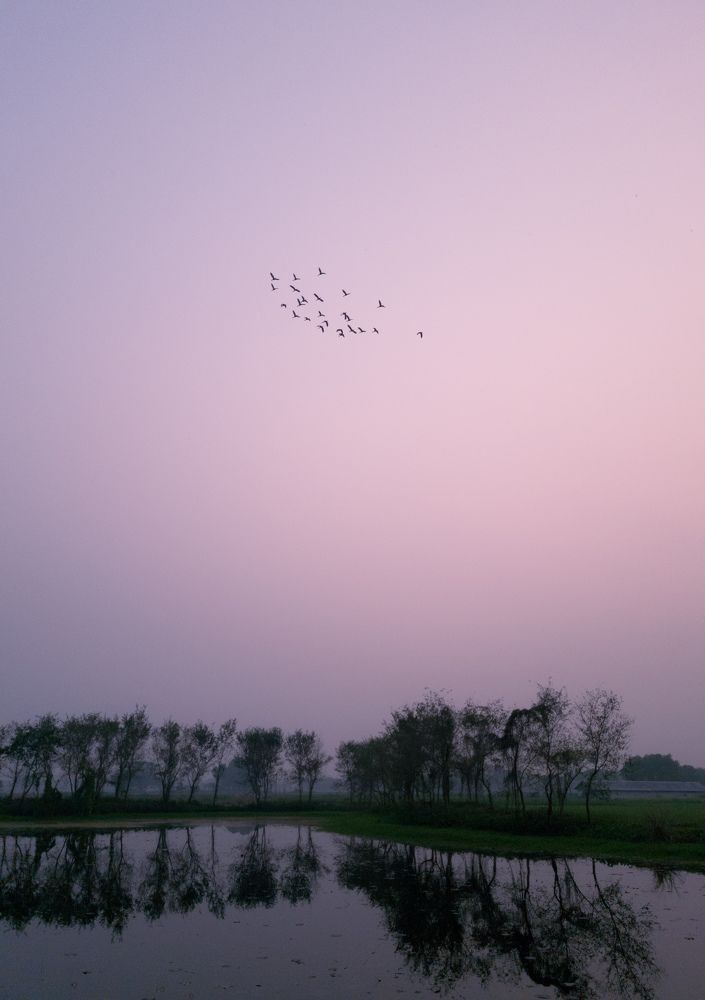 Minimalist Reflection