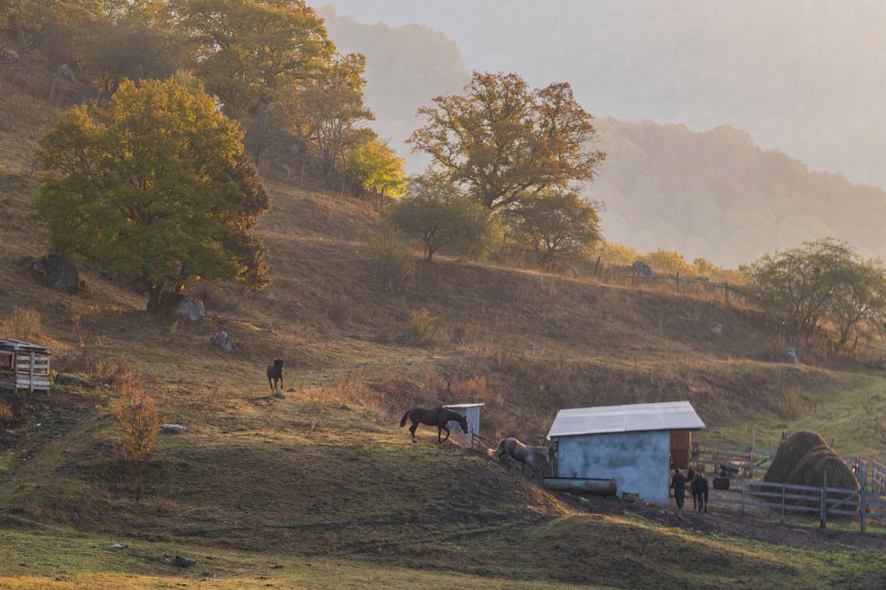 Photograph by Анна Бокова