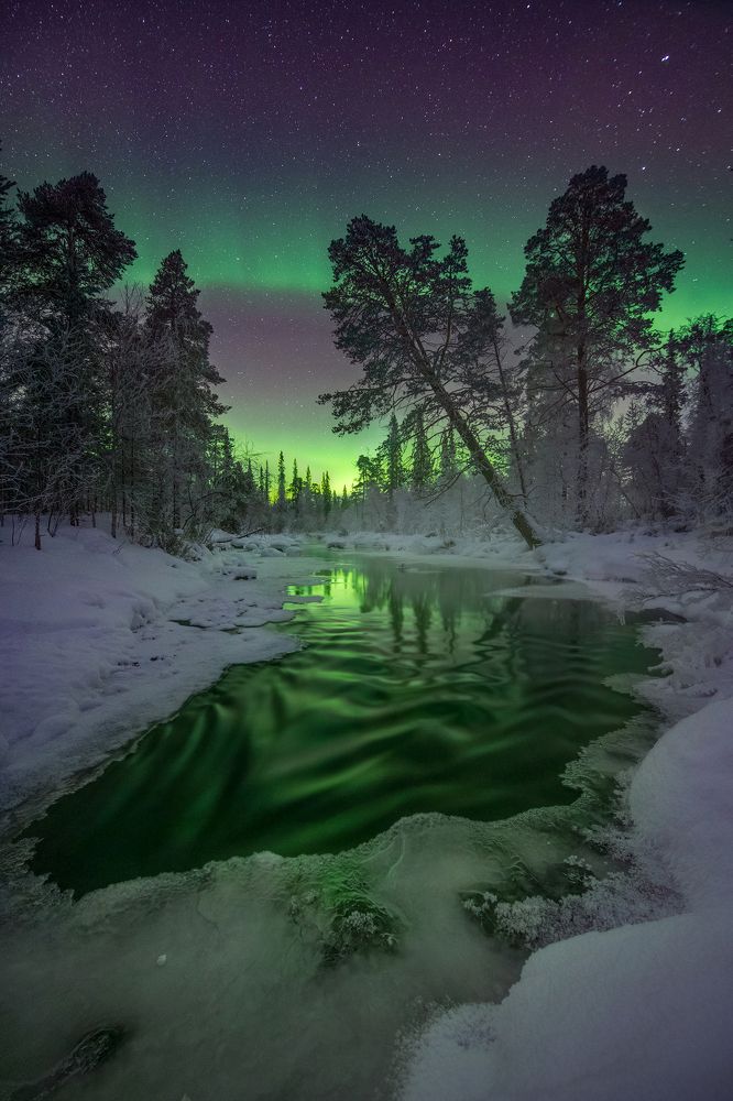 Photograph by Елена Ермолина