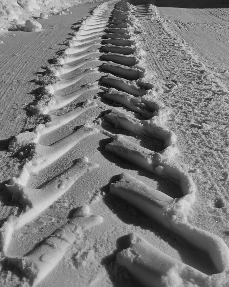 Photograph by Михаил Янкин