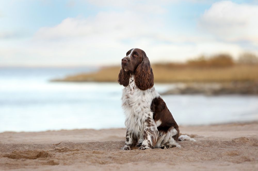 Photograph by Надежда Иванова