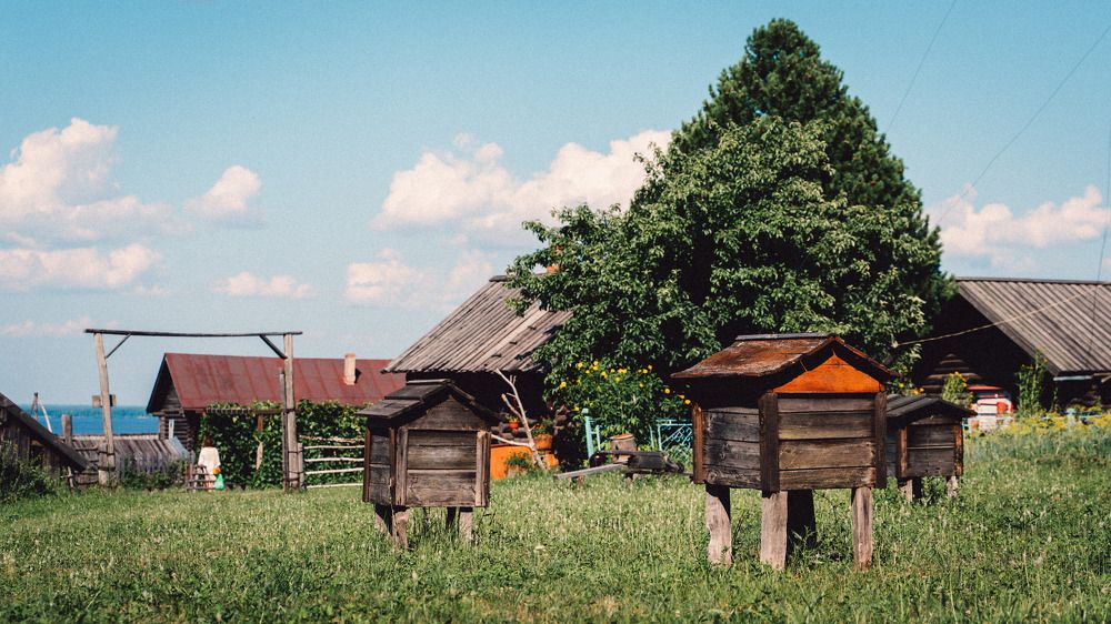 Фотография автора Илья Матвеев