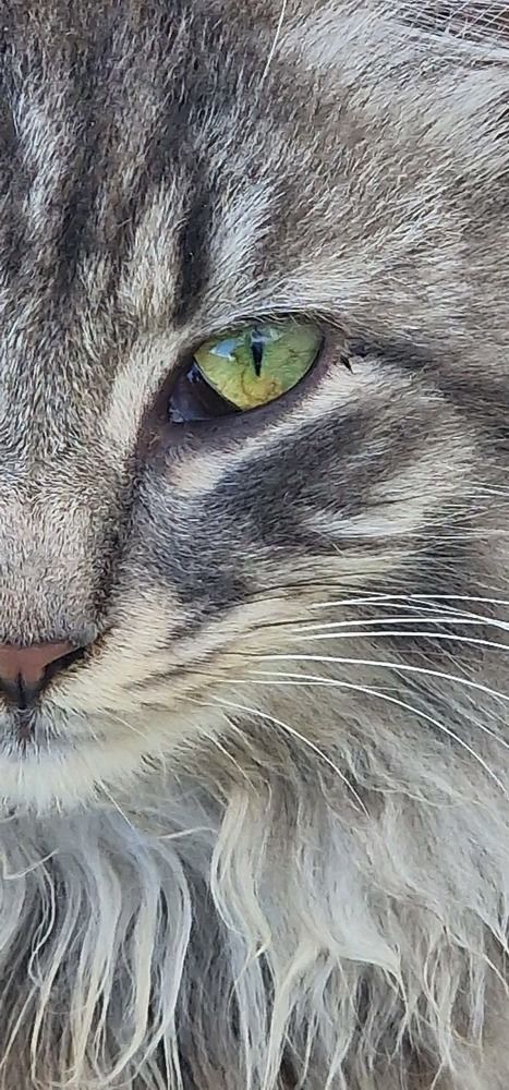 Photograph by Anastasia Tsatsou