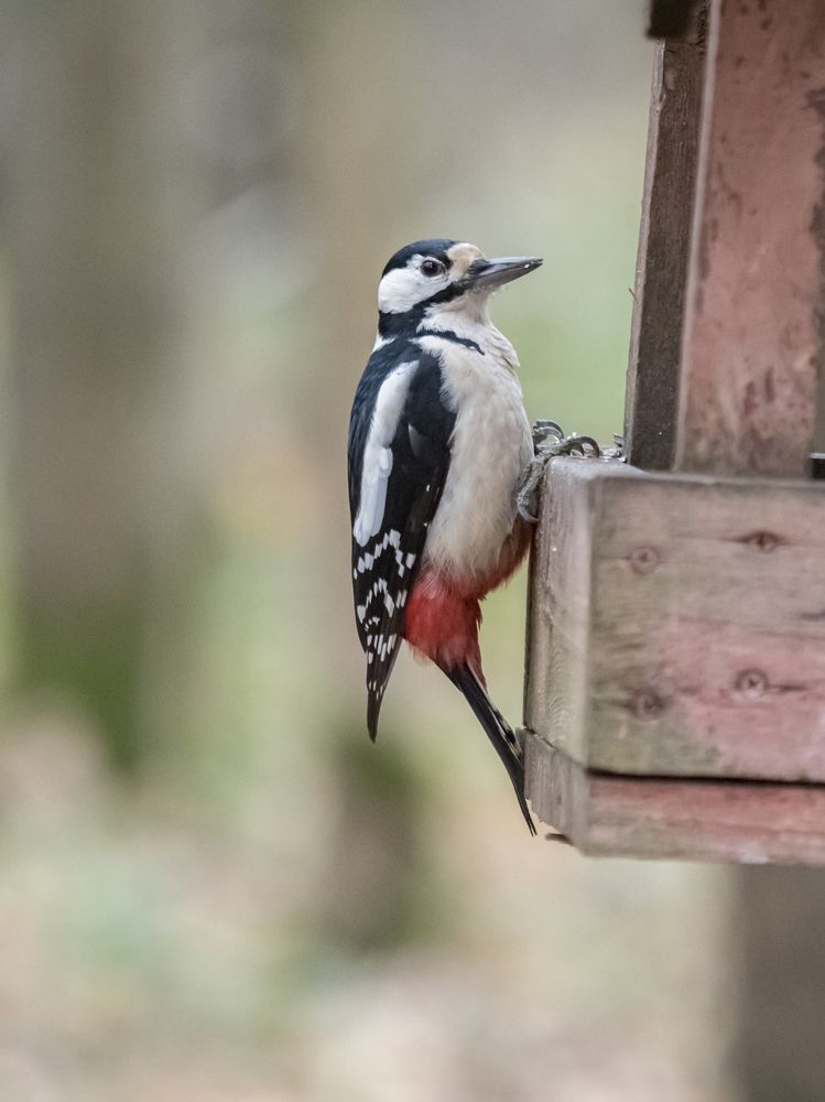 Photograph by Yury Fokin