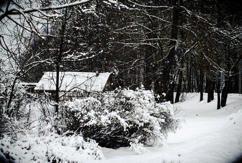 Photograph by Виктор