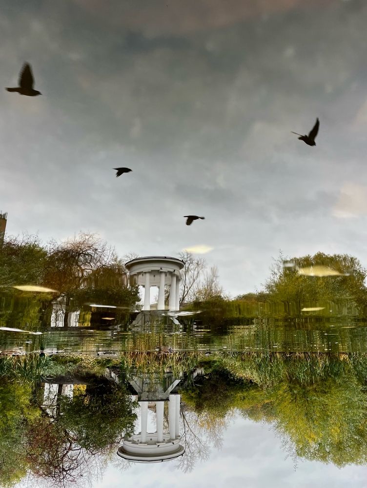 Photograph by Ekaterina Miroshnikova