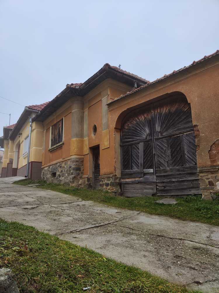 Photograph by rusenescu ramona