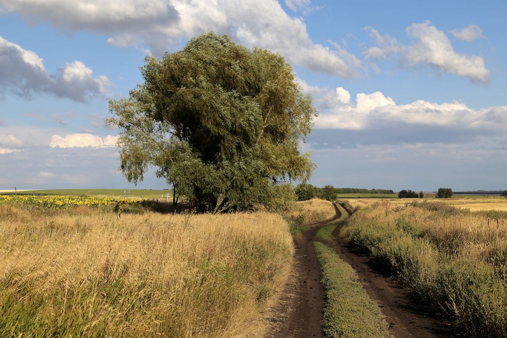 Photograph by Евгений Соколов