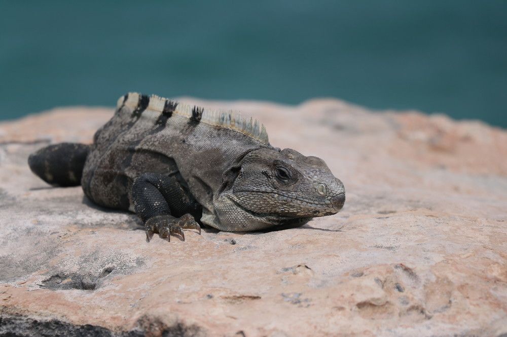 Photograph by Dagmar Vopolková