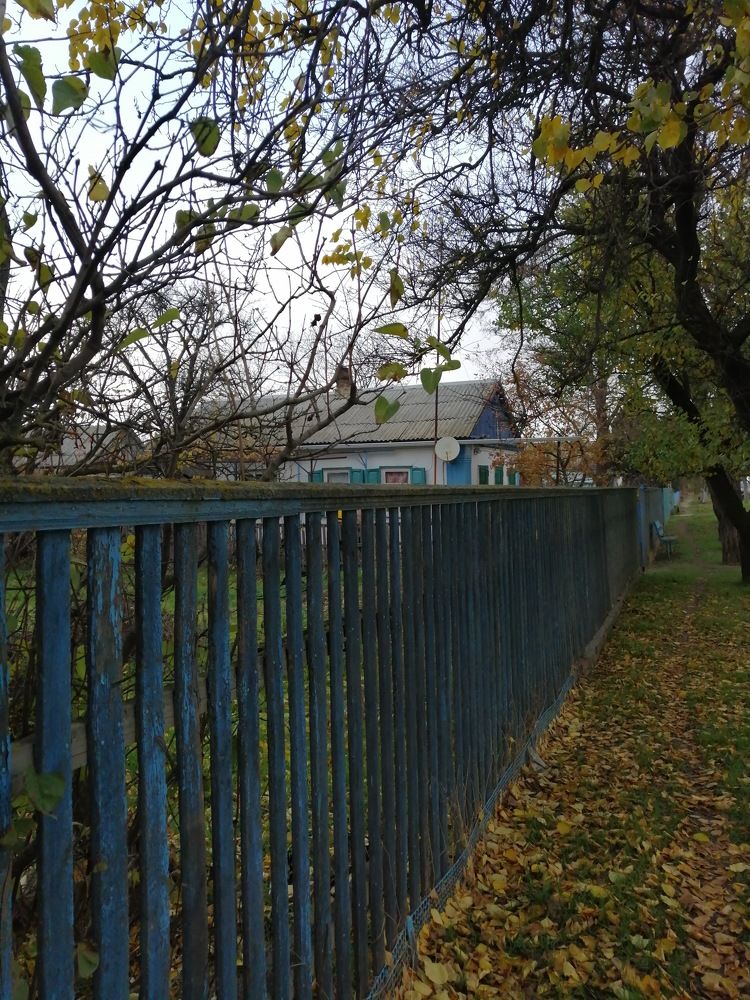 Photograph by Мила Мит