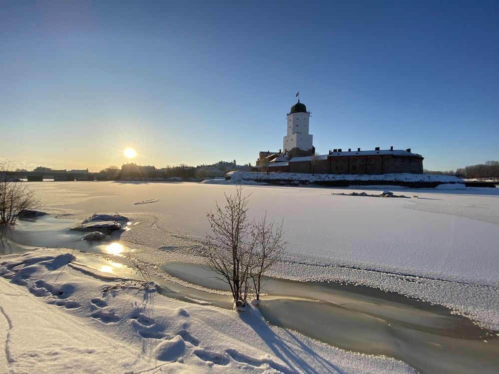 Фотография автора Анна Могилева