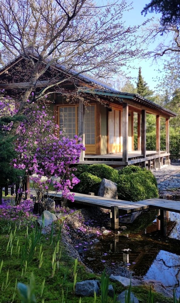 Фотография автора Ирина Муравьева