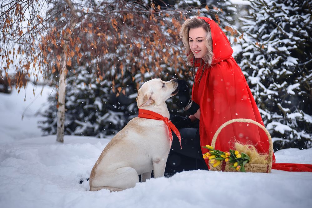 Photograph by Алексей Соколов