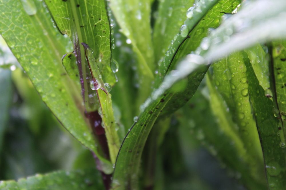 Photograph by Юлия Рыбинцева