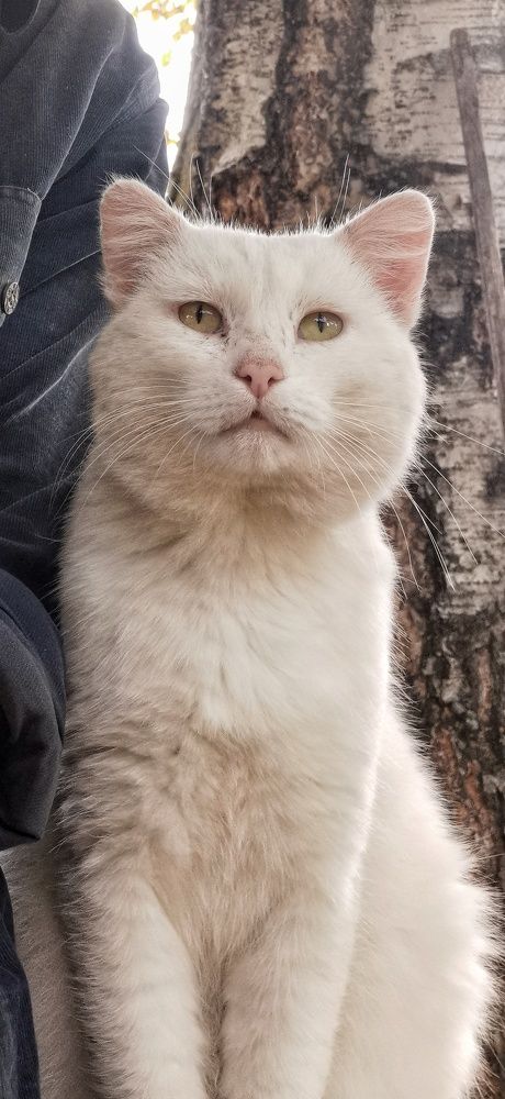 Photograph by Иван Кузнецов