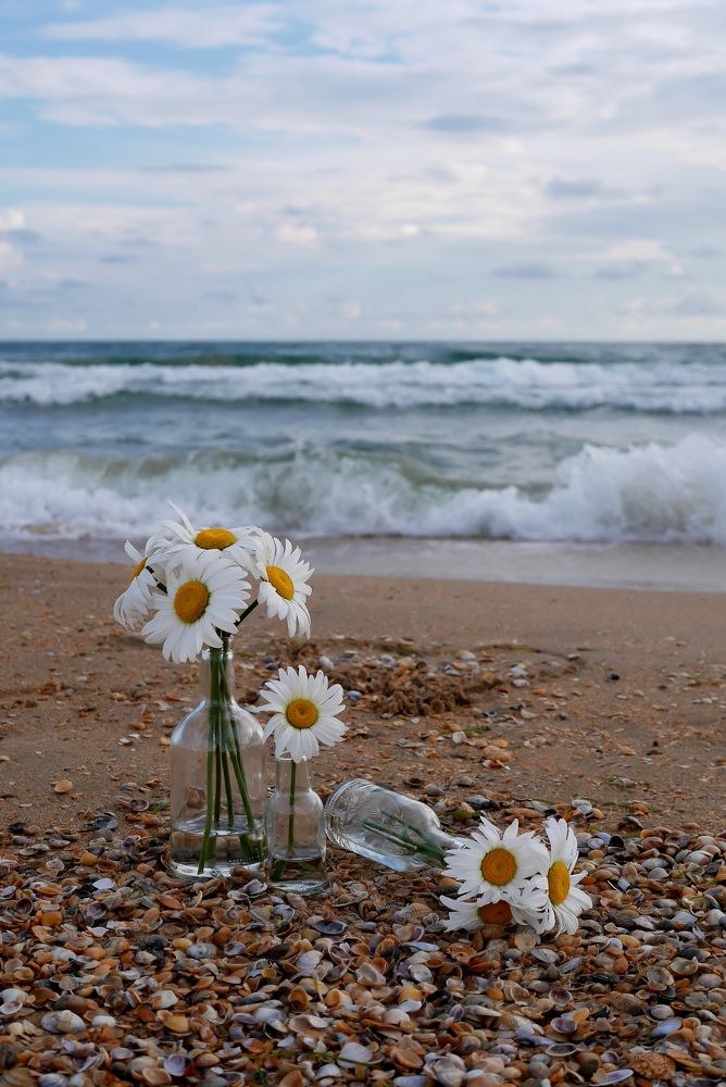 Photograph by Katerina