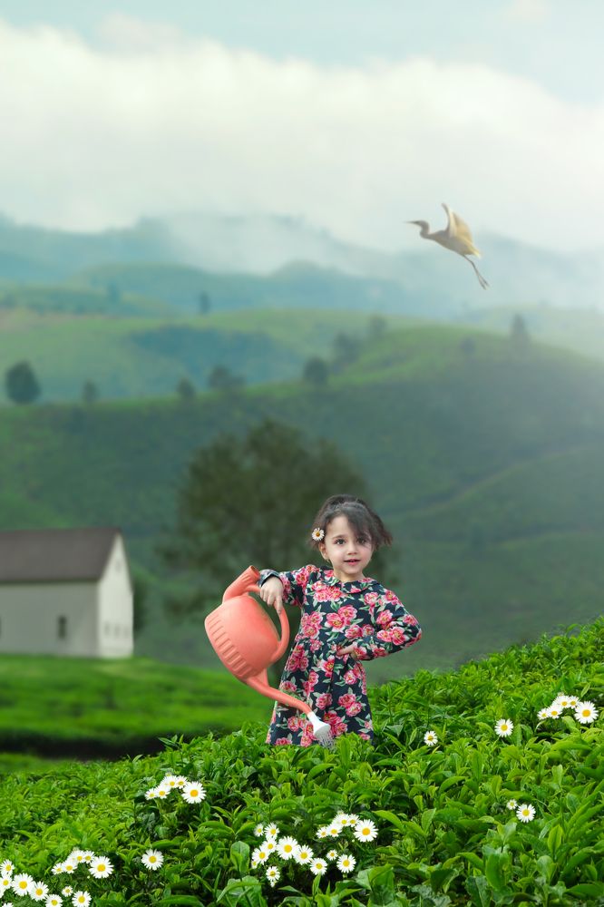 Photograph by Hamidreza hasannia