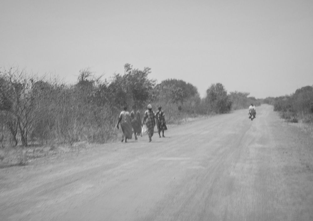 Photograph by Александр Шалагин