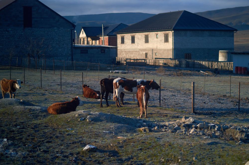 Photograph by Маргарита Гасец