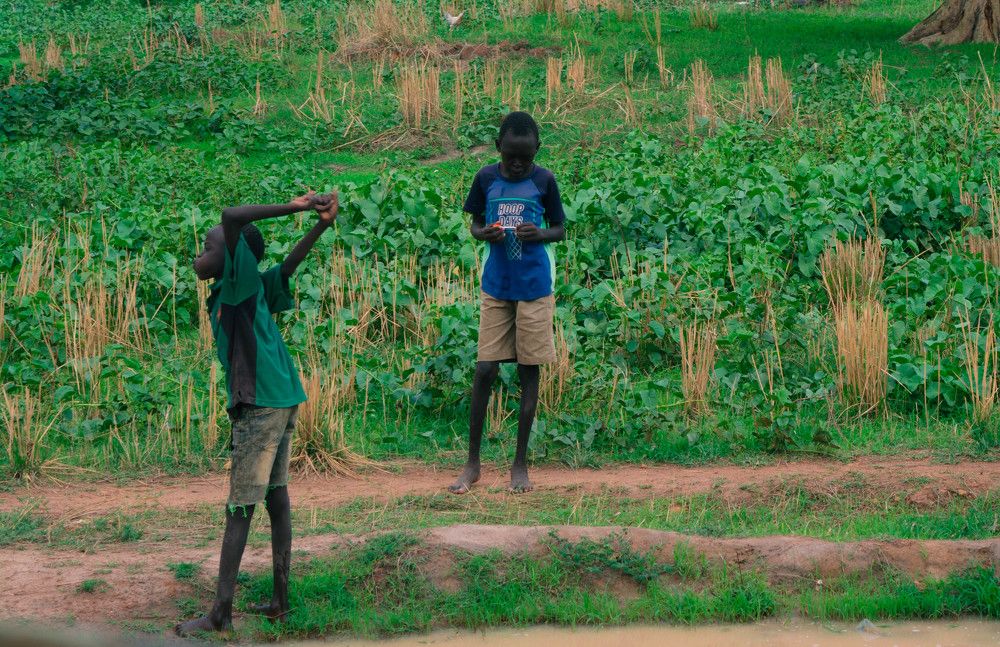 Photograph by Александр Шалагин