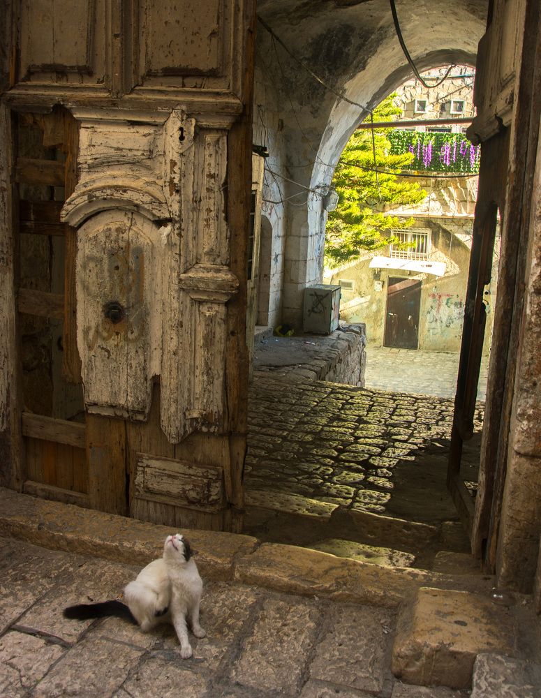 Photograph by Александр Халимов