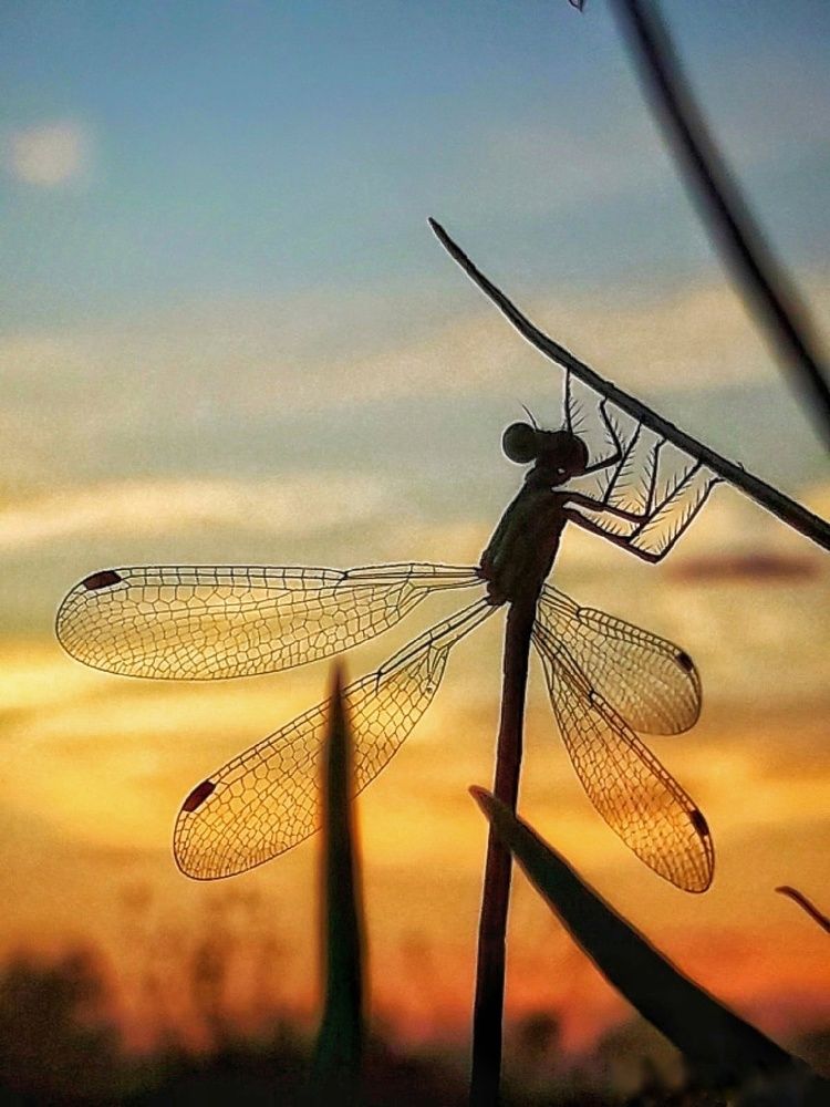 Photograph by Марина