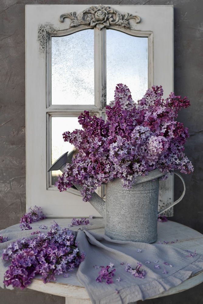 Photograph by Katerina