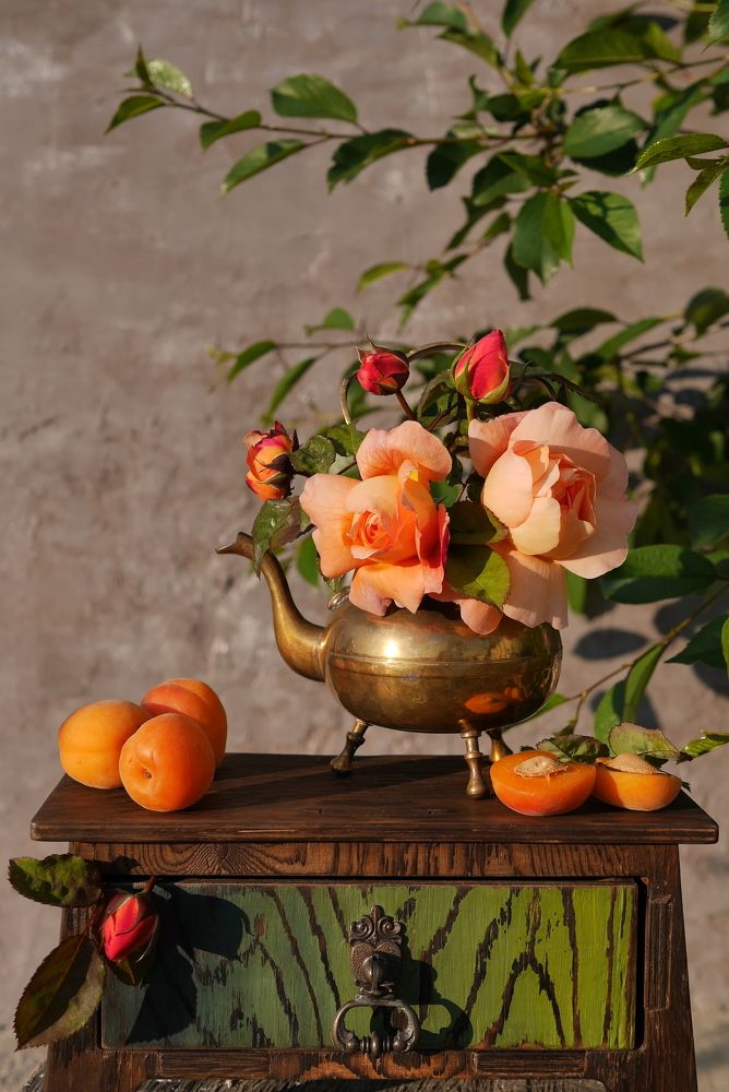 Photograph by Katerina