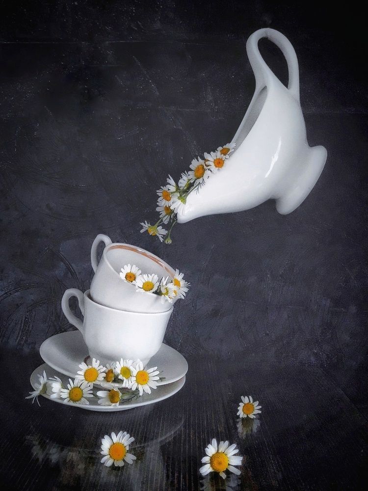 Photograph by Марина