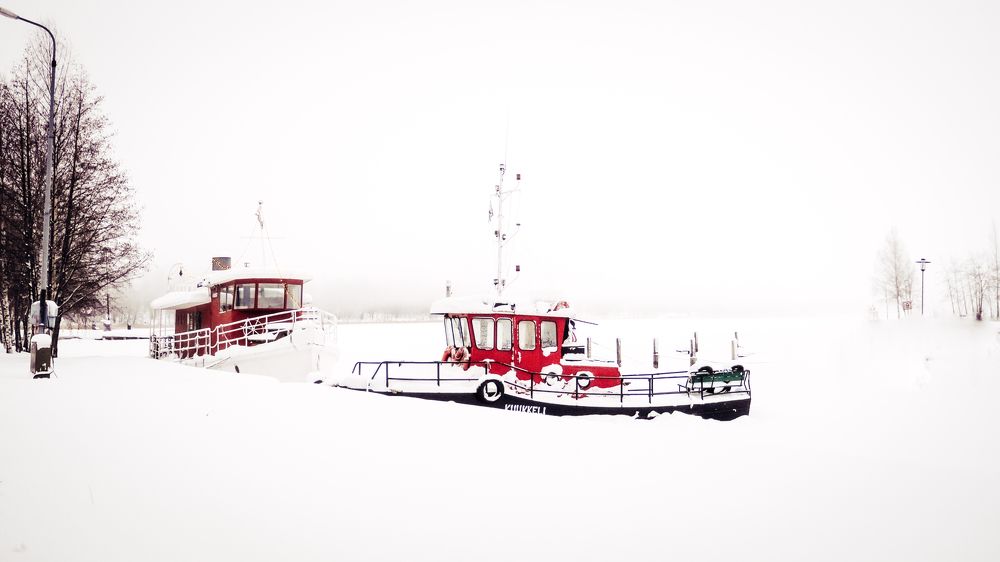 Photograph by Nilgün Kurtar