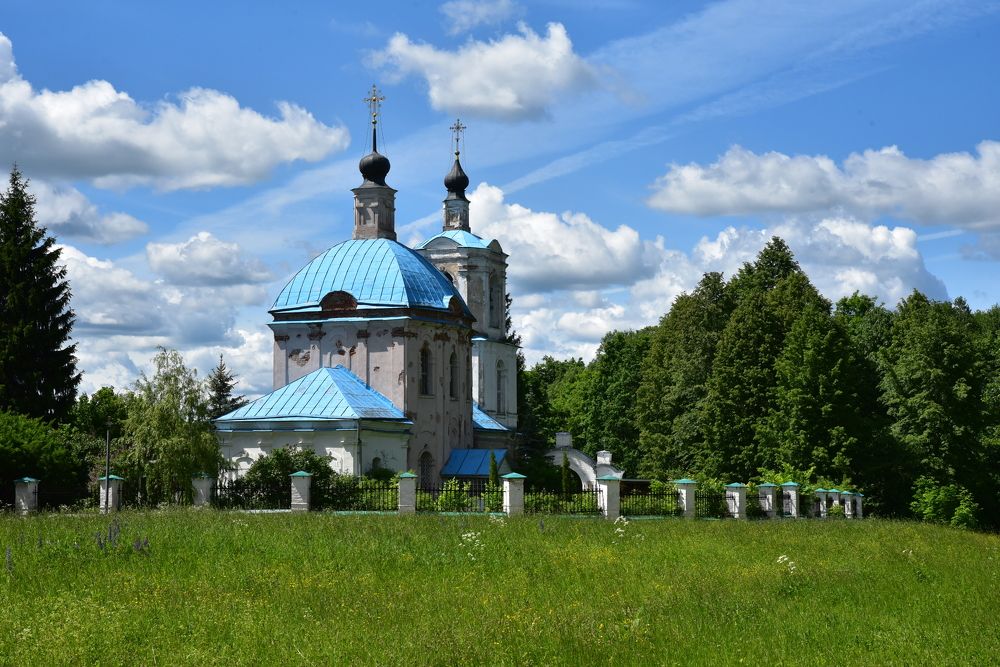 деревня Новоспасское Ельнинского района