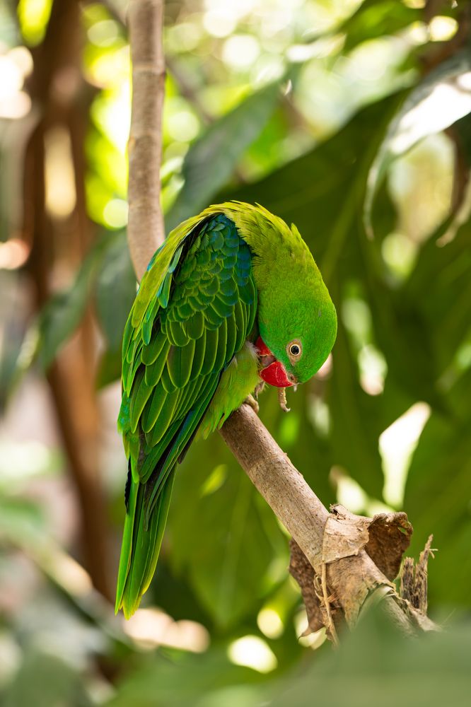 Фотография автора Мария Сурмачева