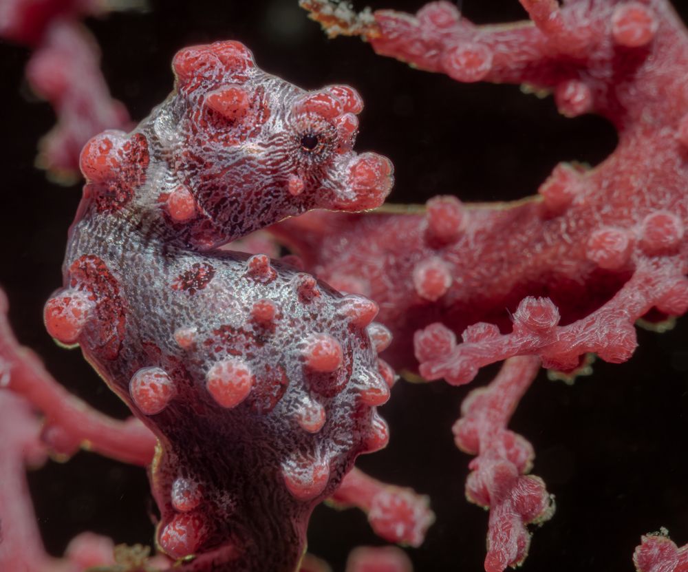 Photograph by Савин Андрей