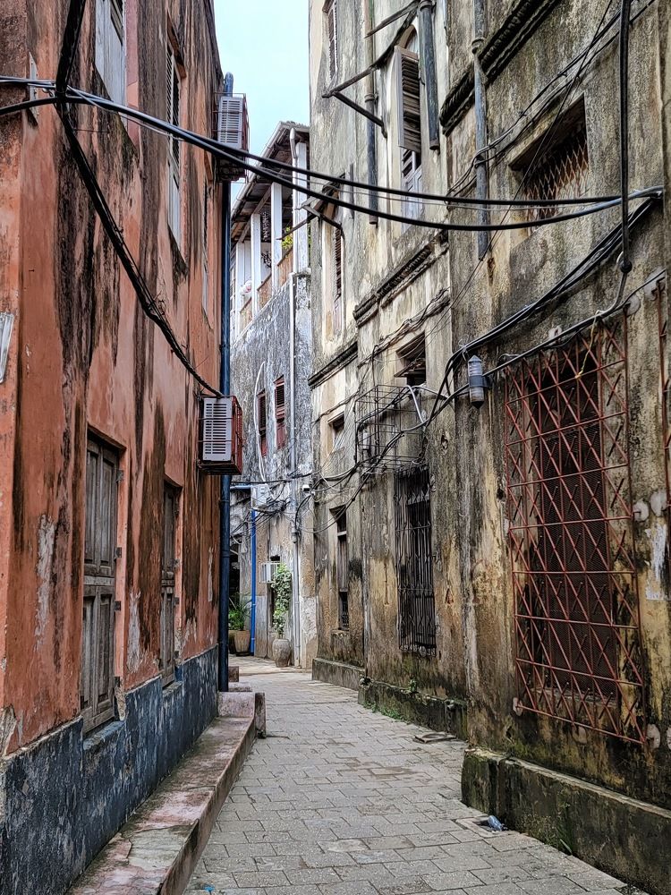 Photograph by Tatyana