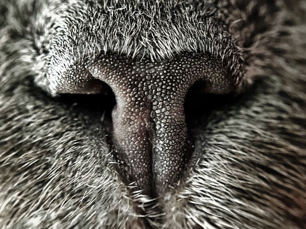 Photograph by Елена Громова