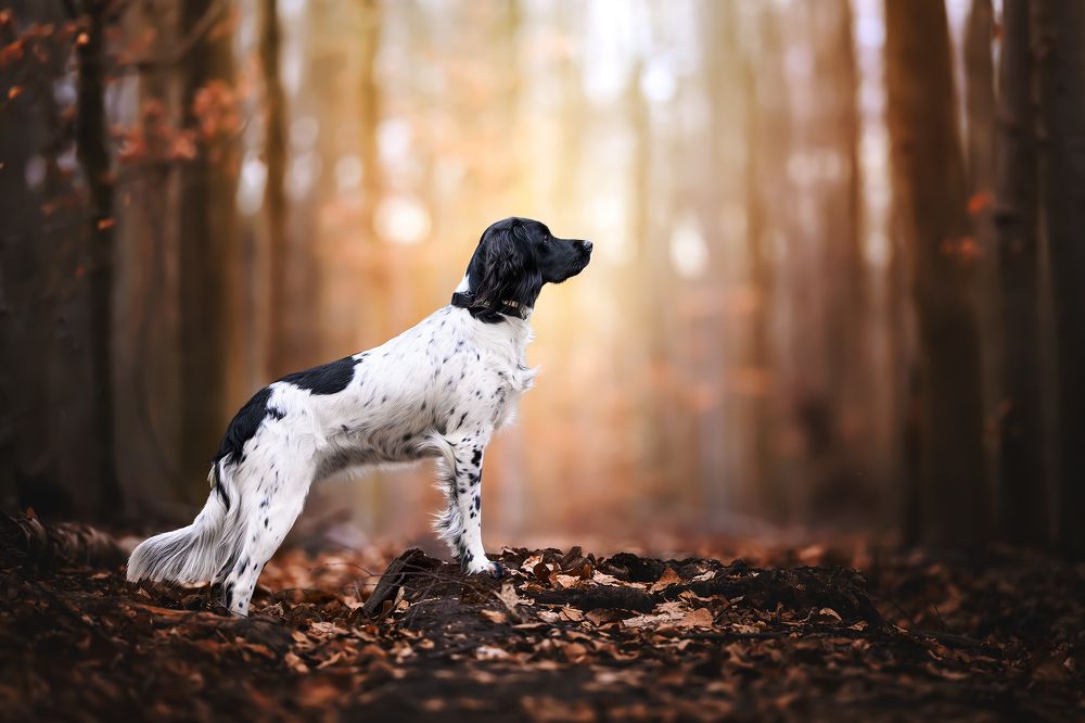 Photograph by Laetitia Delval