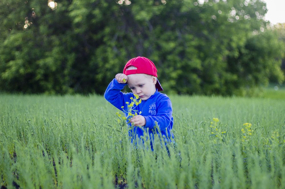 Photograph by Михаил Михайлов