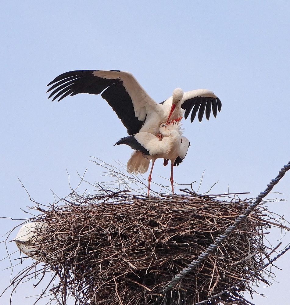 Photograph by Татьяна ТУРСКАЯ