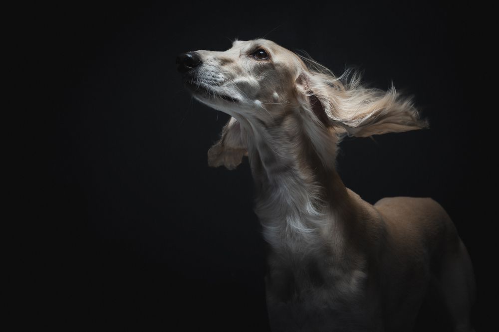 Photograph by Kristina Kazlauskaitė