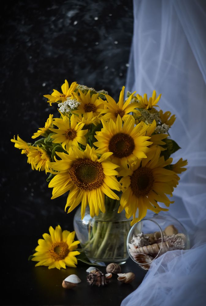 Photograph by Ирина Никульча