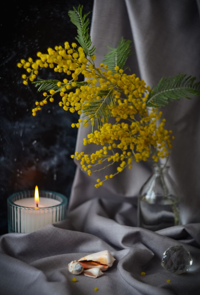 Photograph by Ирина Никульча