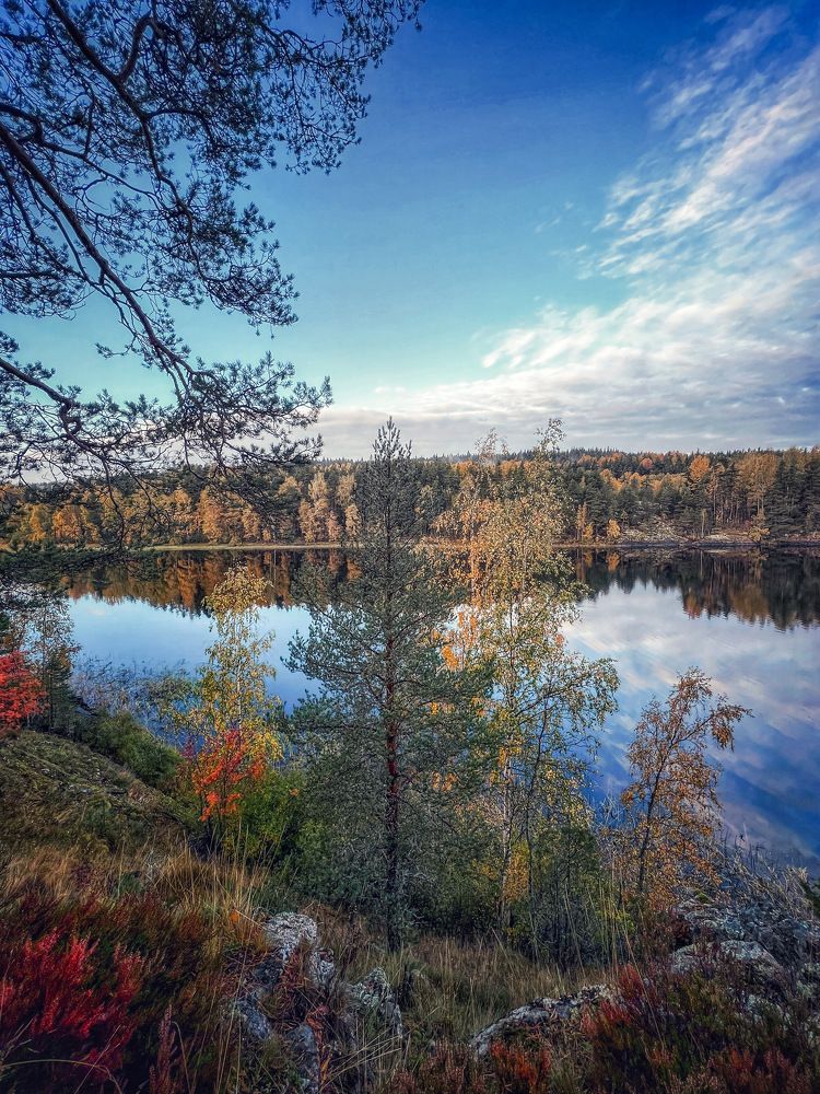 Photograph by Ольга Волкова