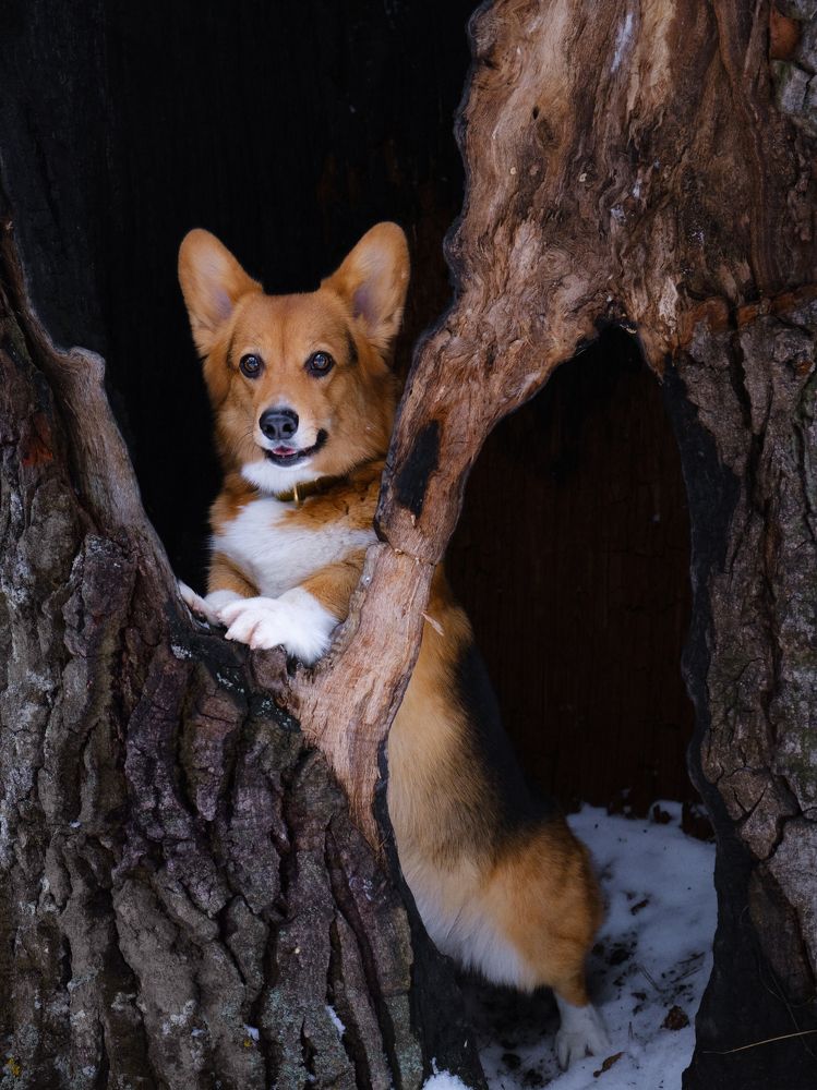 Photograph by Валерия Дурнева